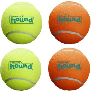 Outward Hound Squeaker Ballz Fetch Dog Toys